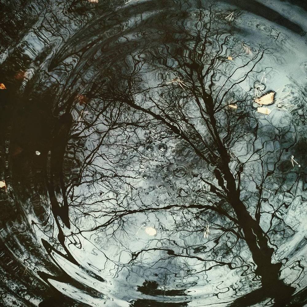 Photograph by Олег Борищенков