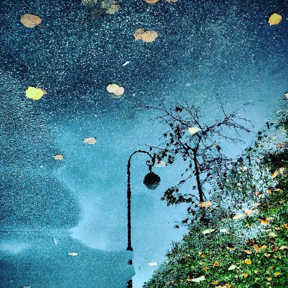 Photograph by Олег Борищенков