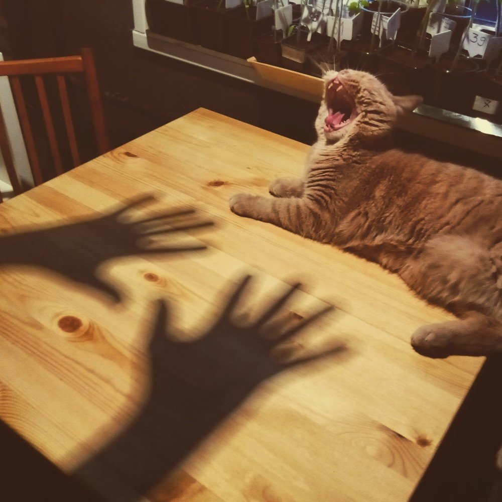 Photograph by Олег Борищенков