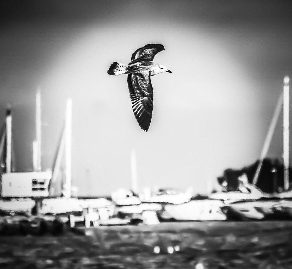 Photograph by Alexia Vlada