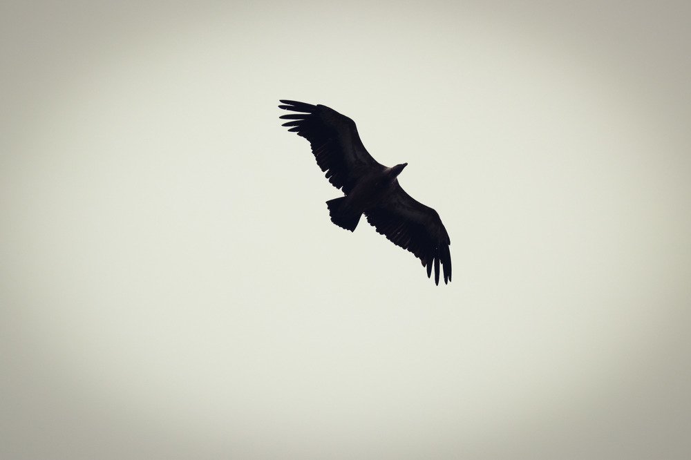 Photograph by Алексей Алексеев