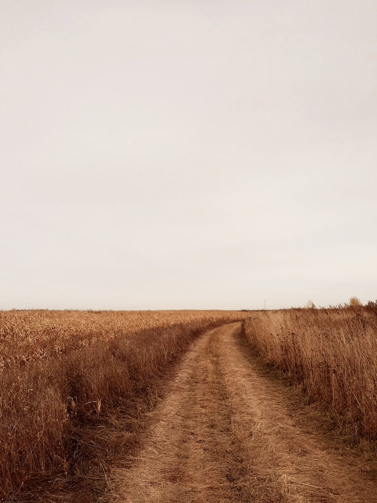 Photograph by Андрей Безгин