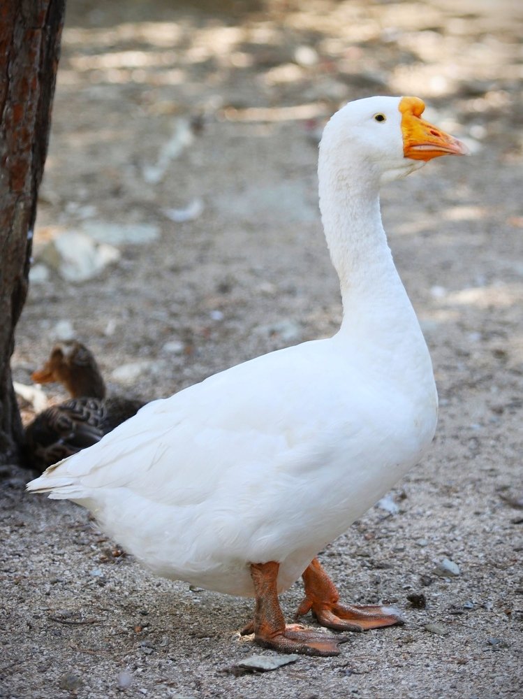 Photograph by Дмитрий Ромашов