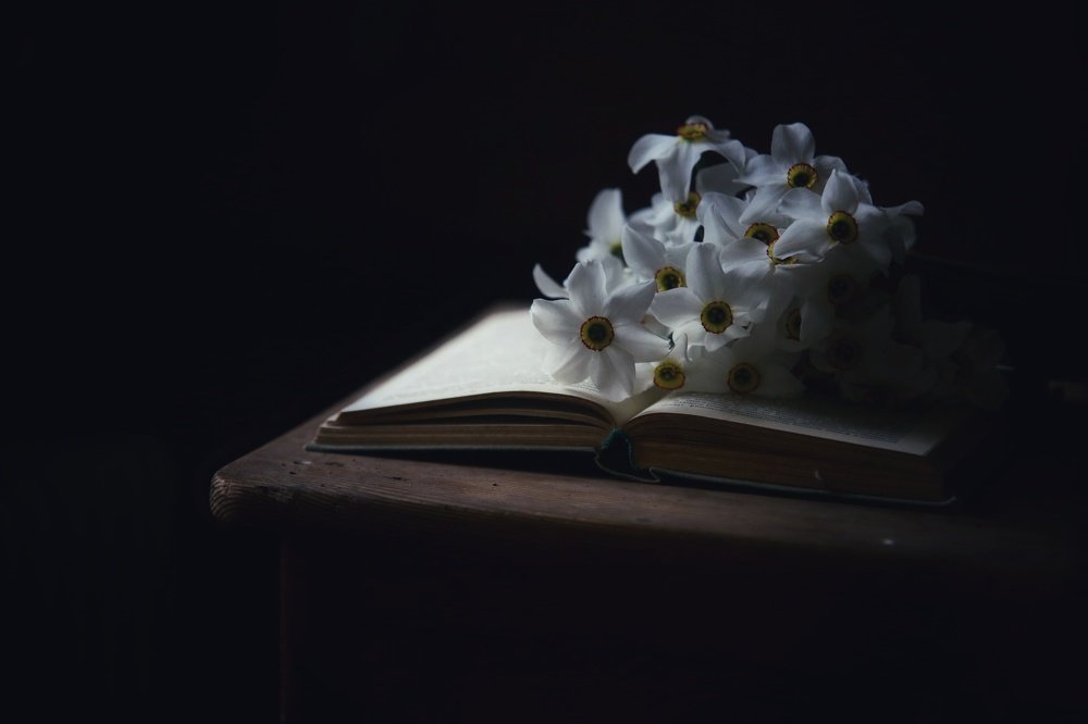 Photograph by Анжелика Сидорова