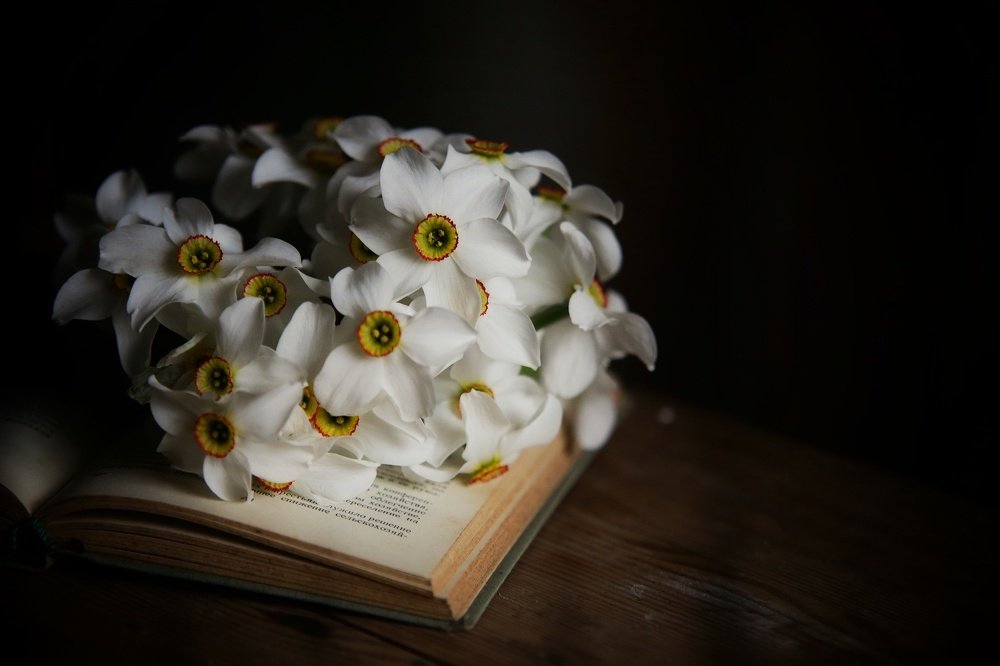 Photograph by Анжелика Сидорова