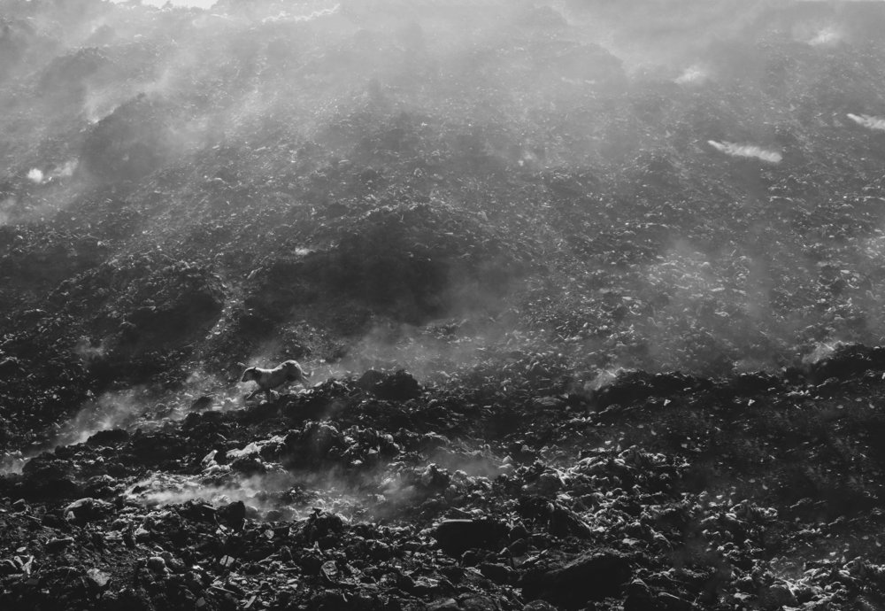 Photograph by Nasrin Navayi