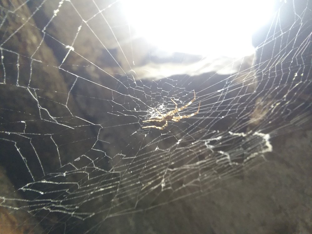 Photograph by Rassam Ali AL baadani