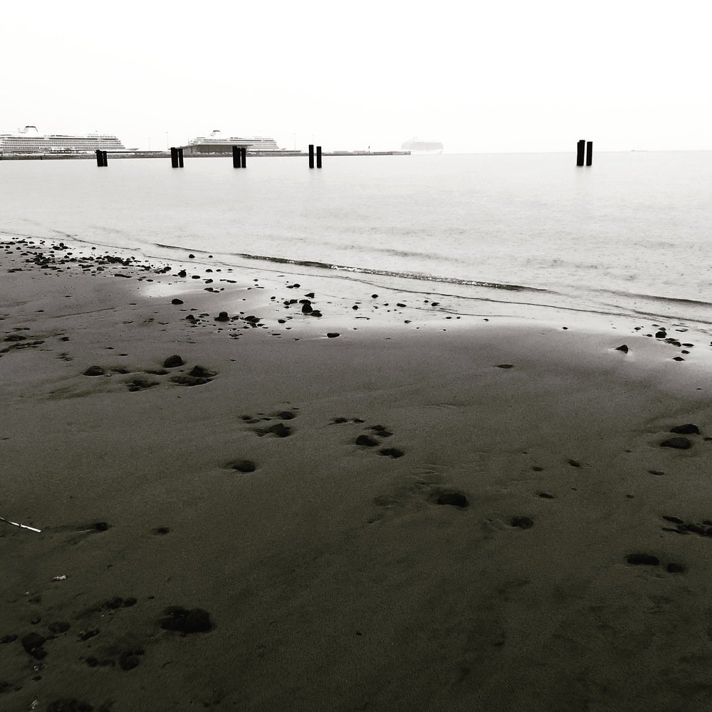 Photograph by Ali Boyko