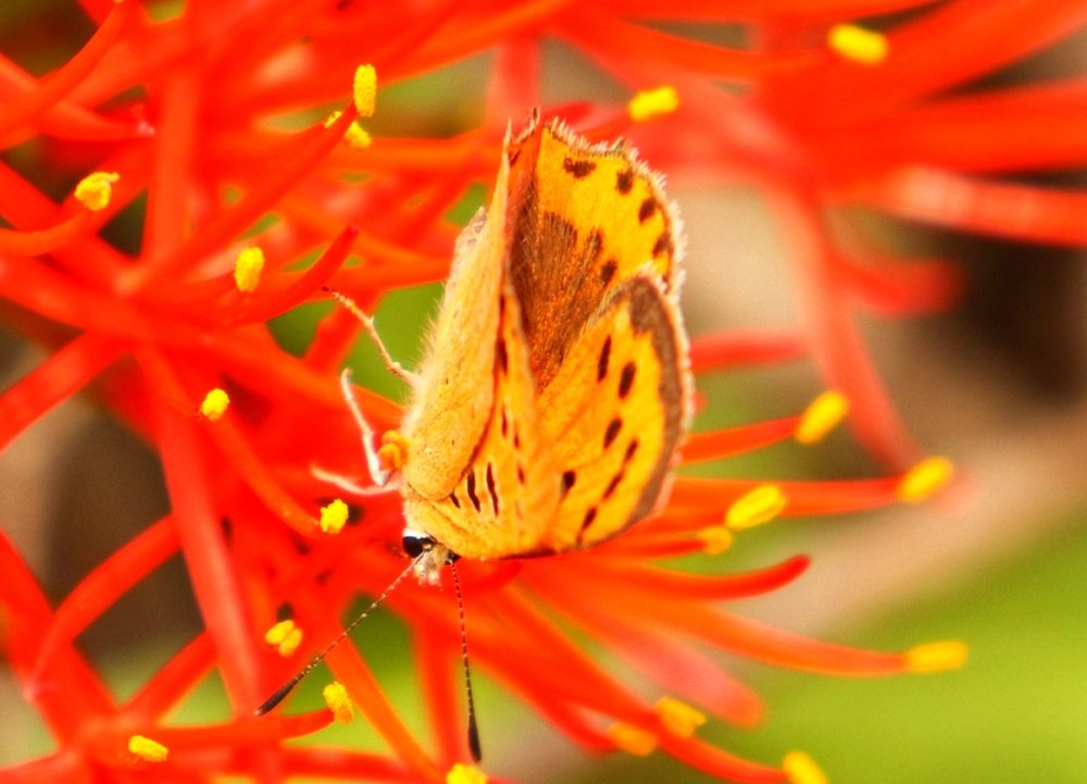 Photograph by Rassam Ali AL baadani