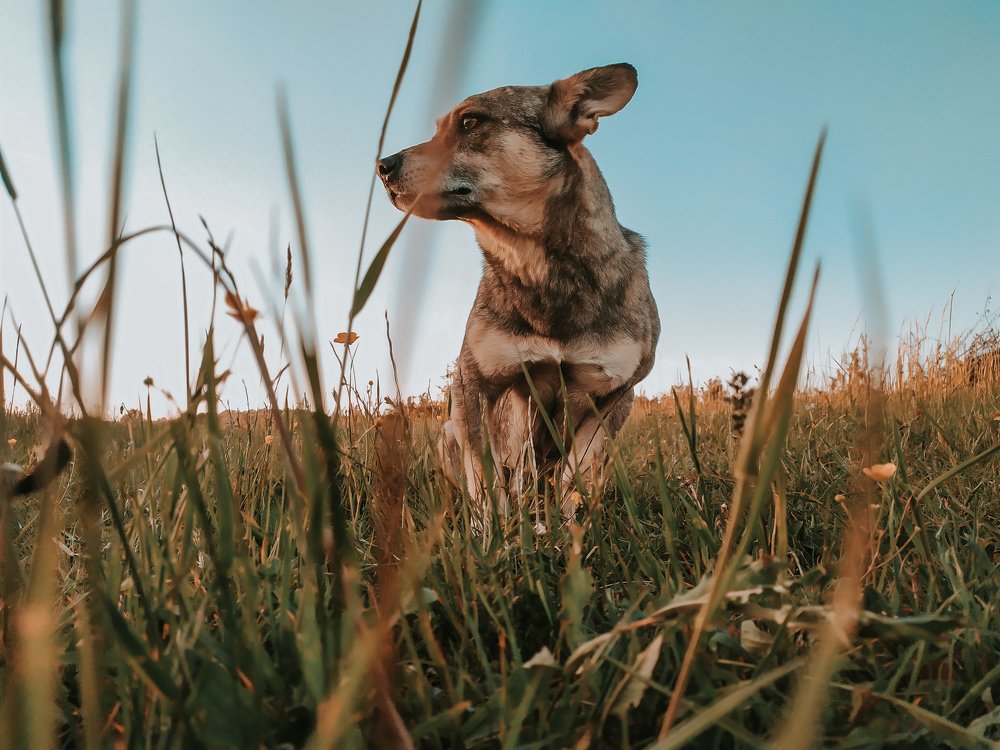 Photograph by Владислав Гриньків