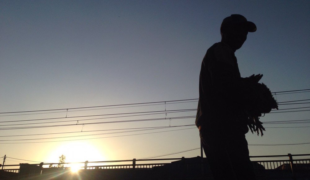 Photograph by Nardos Zewde