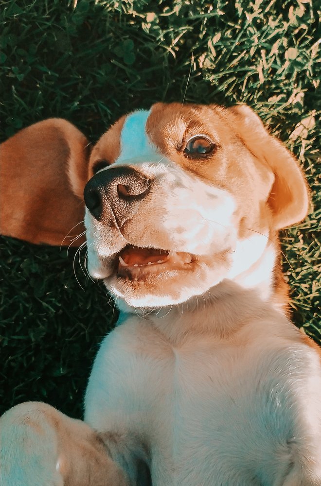 Photograph by Владислав Гриньків