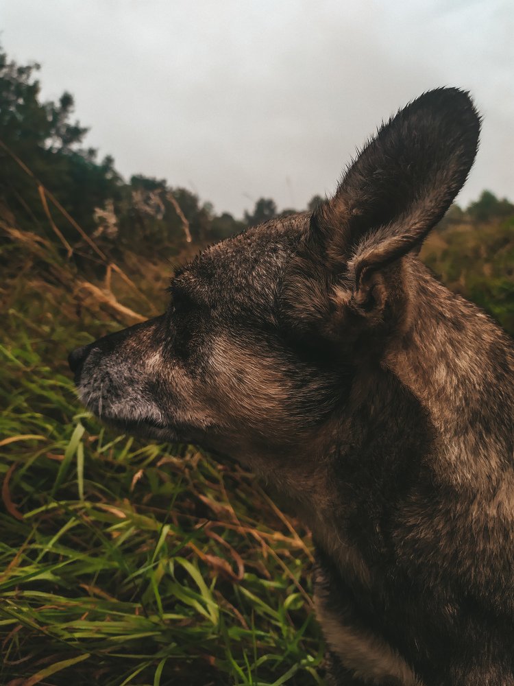 Photograph by Владислав Гриньків