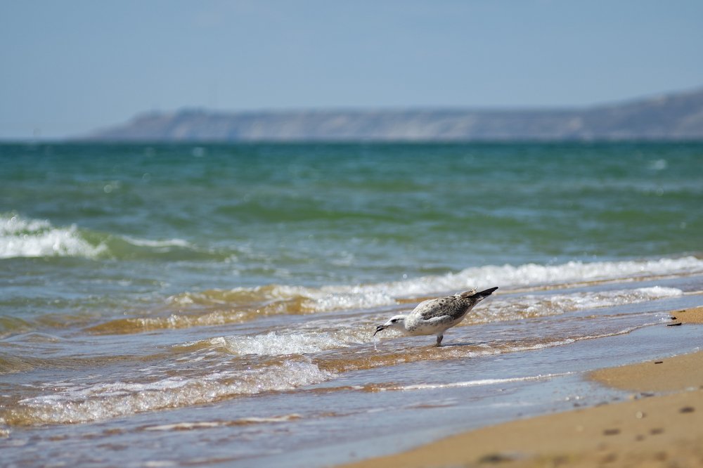 Photograph by Станислав Федашов