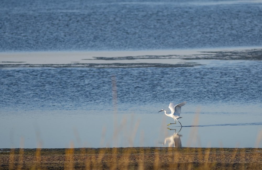 Photograph by Станислав Федашов