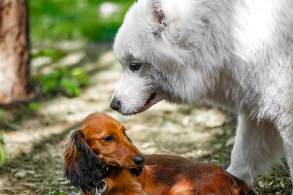 Photograph by Виктория Винс