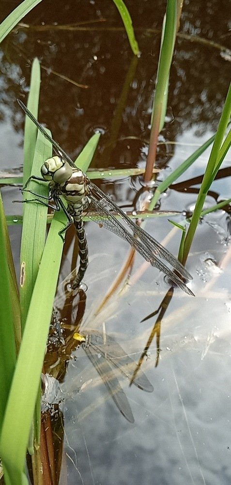 Photograph by Любовь Шаврина