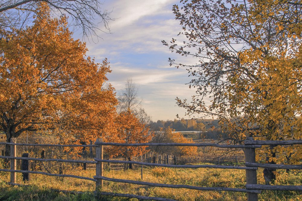 Photograph by Елена Гусева