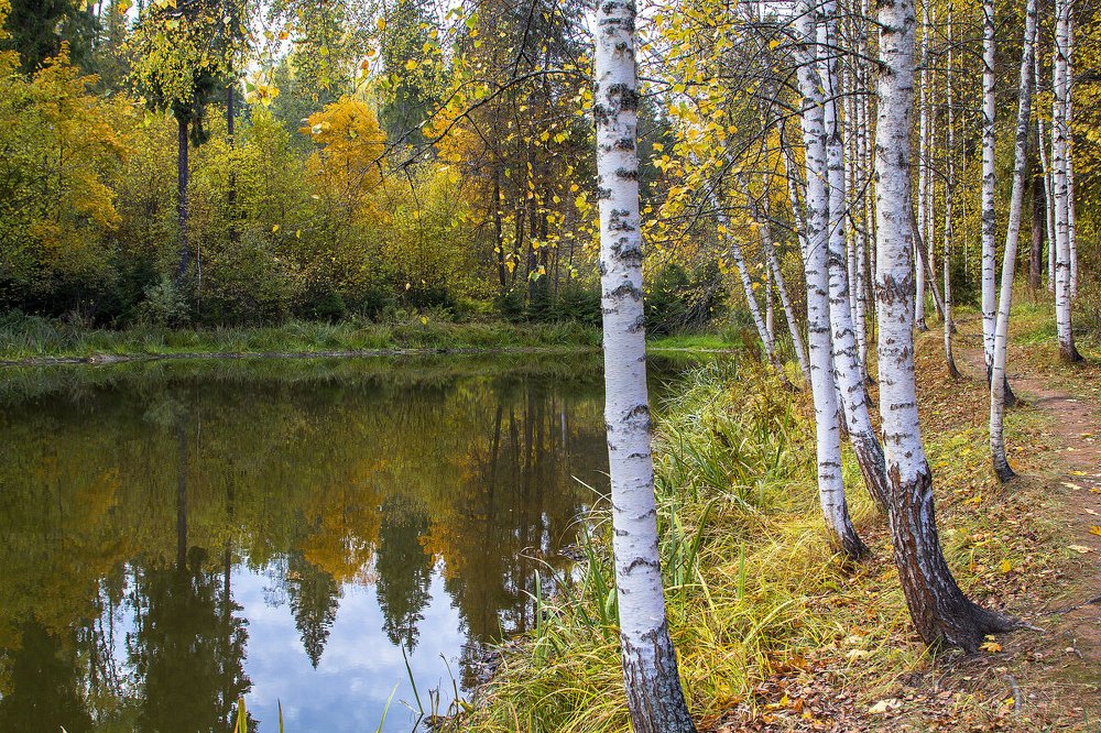 Photograph by Елена Гусева