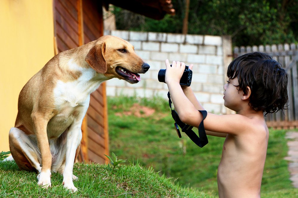 Photograph by Tatiana Barthem