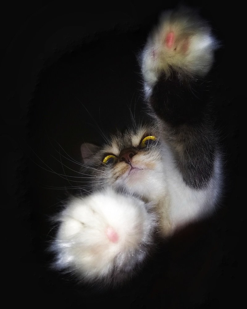 Photograph by Светлана Безъязычная