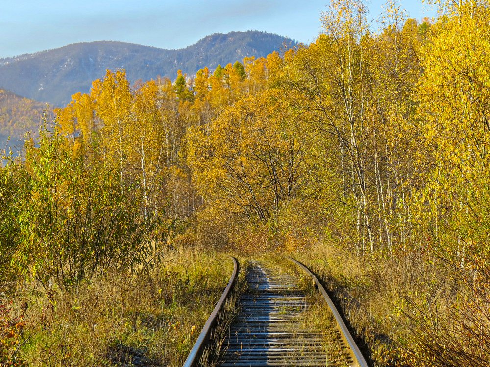 Photograph by Александр Молоцило