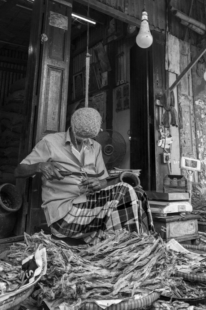 Photograph by Pinak Paul