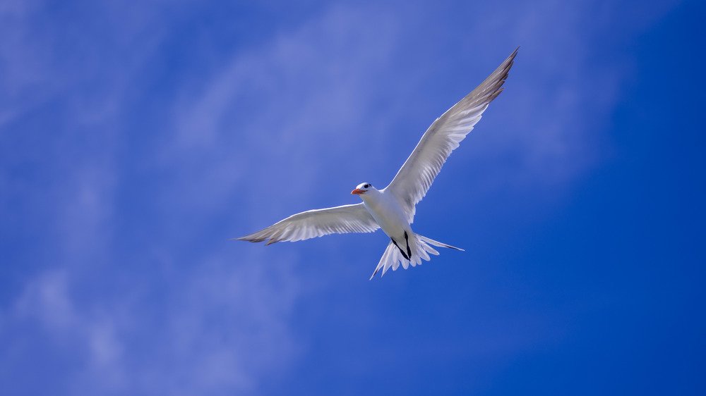 Photograph by Lidia Losada Campaña