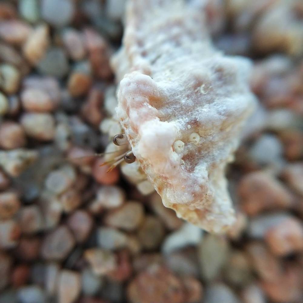 Фотография автора Станислав Ермолин