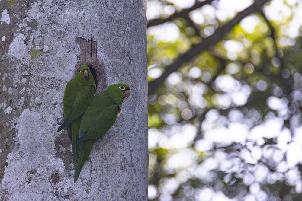 Photograph by Lidia Losada Campaña