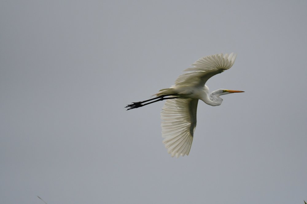 Photograph by Lidia Losada Campaña