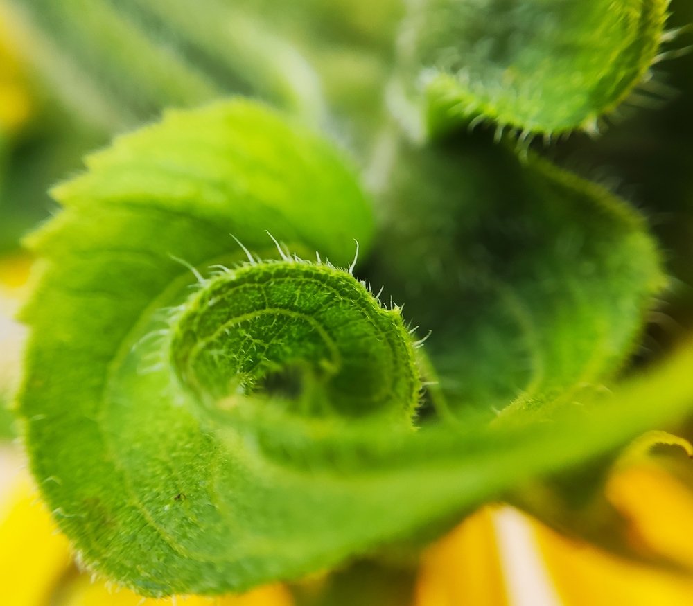 Фотография автора Станислав Ермолин
