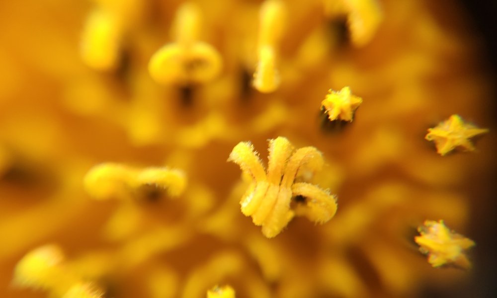 Фотография автора Станислав Ермолин