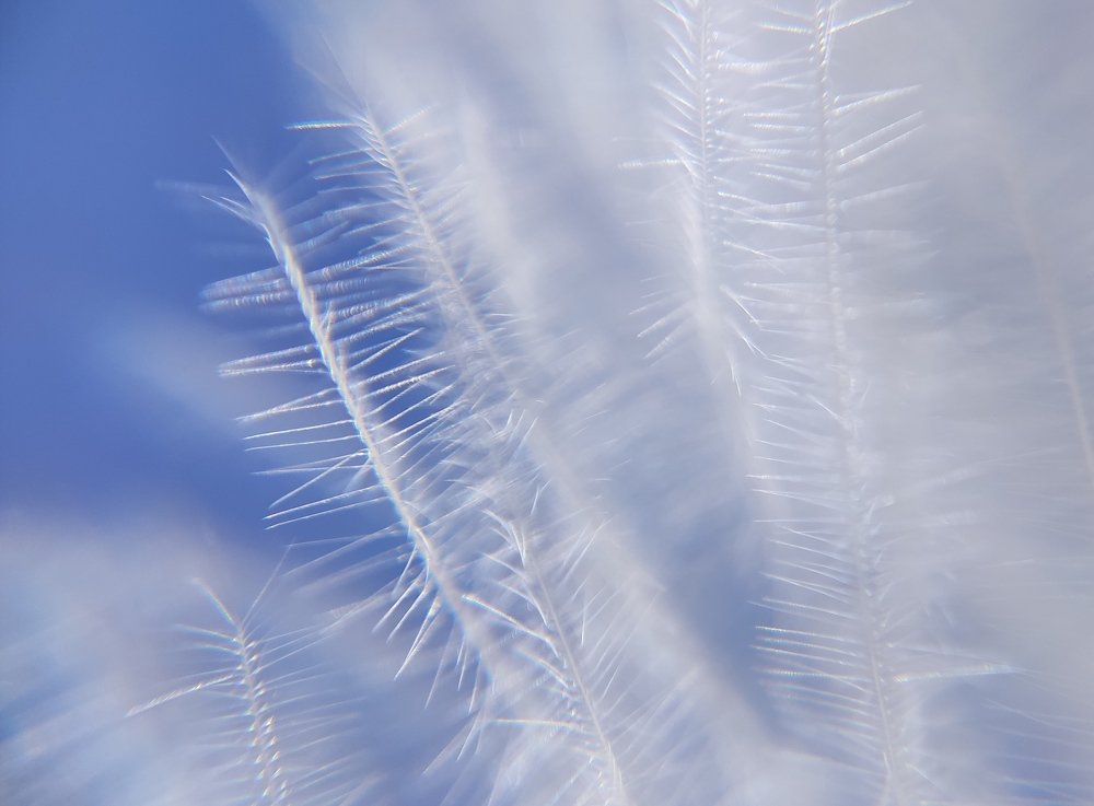 Фотография автора Станислав Ермолин
