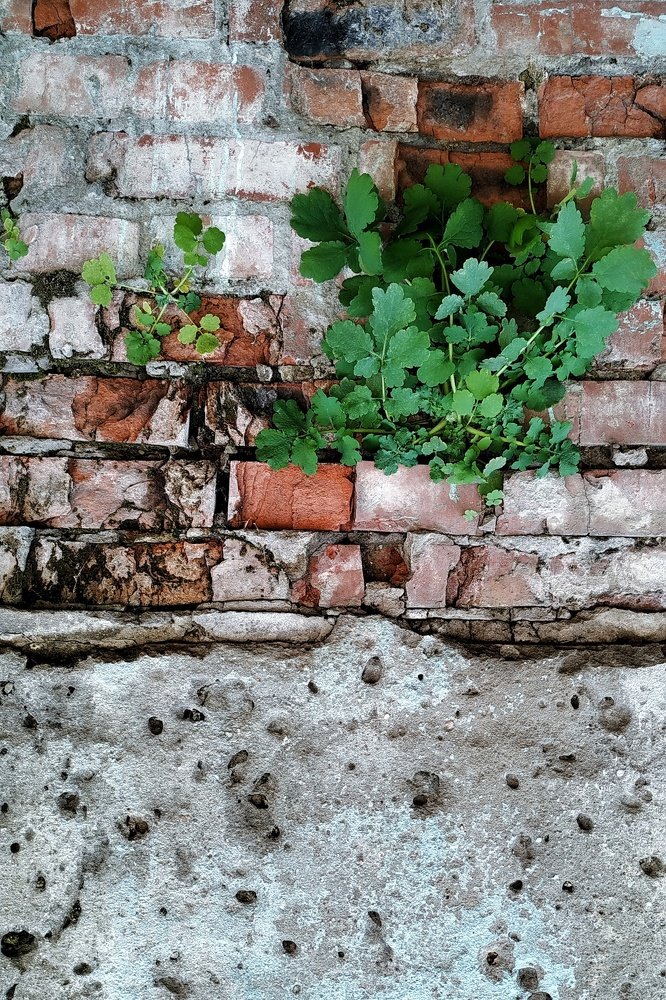 Photograph by Пивоварова Екатерина