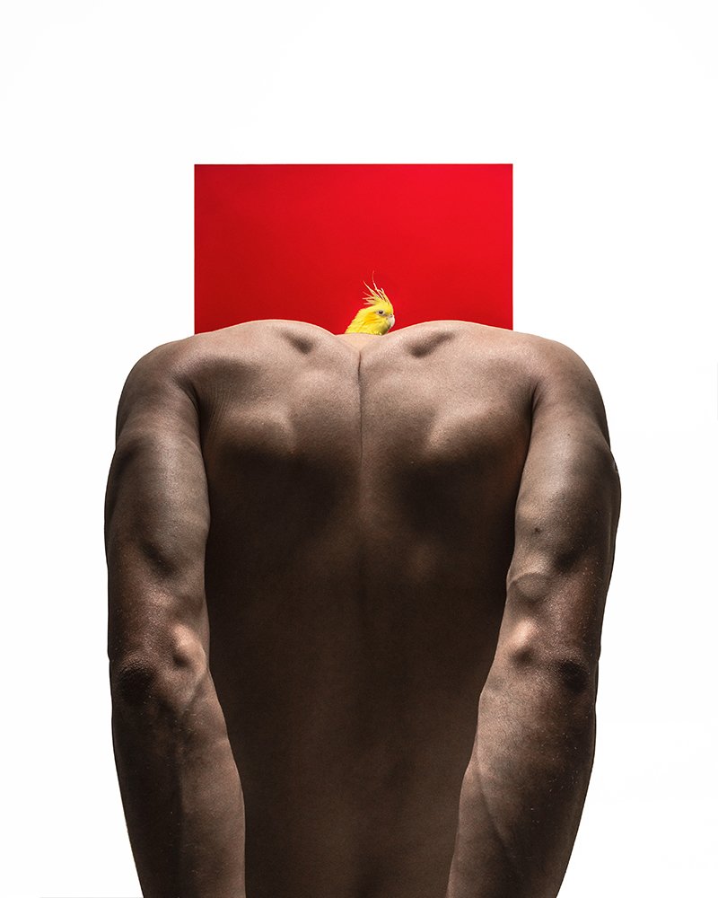 Photograph by Gabriel Santana