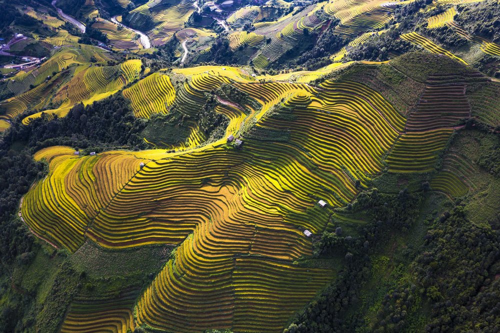 Terraced fields in Mu Cang Chai, Yen Bai, Vietnam