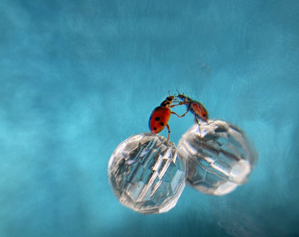 Photograph by Андрей Косяк