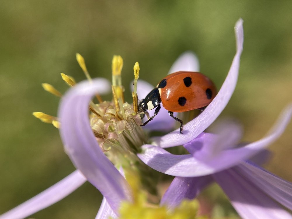 Photograph by Андрей Косяк