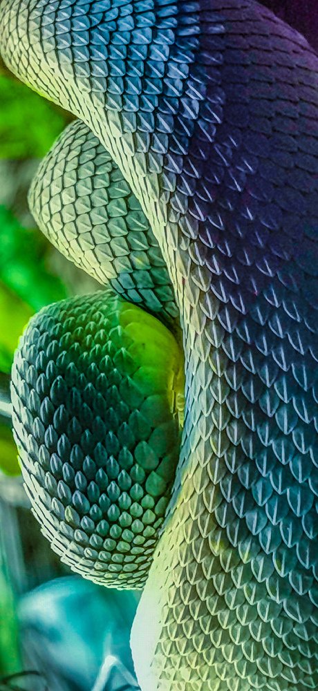 Photograph by Camilo Sarti