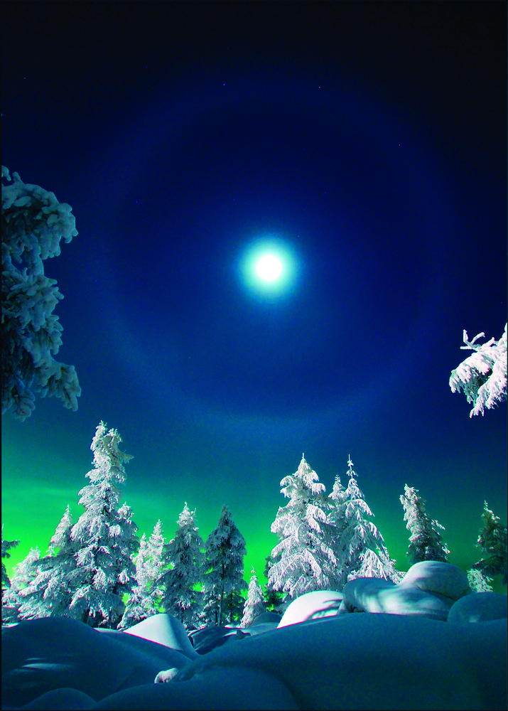 Photograph by Дмитрий Нестеренко