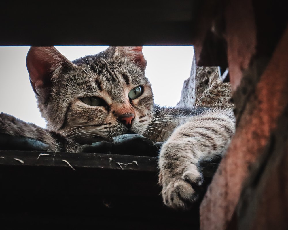 Photograph by Юлия Ключик