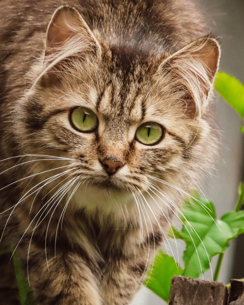 Photograph by Юлия Ключик