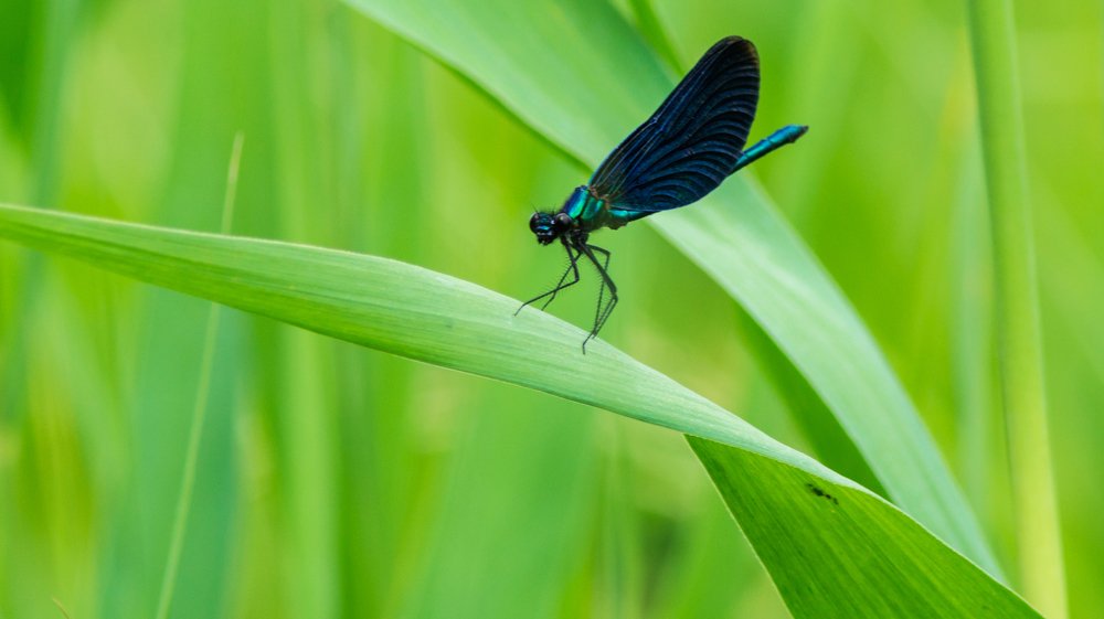 Photograph by Евгений Калагаев