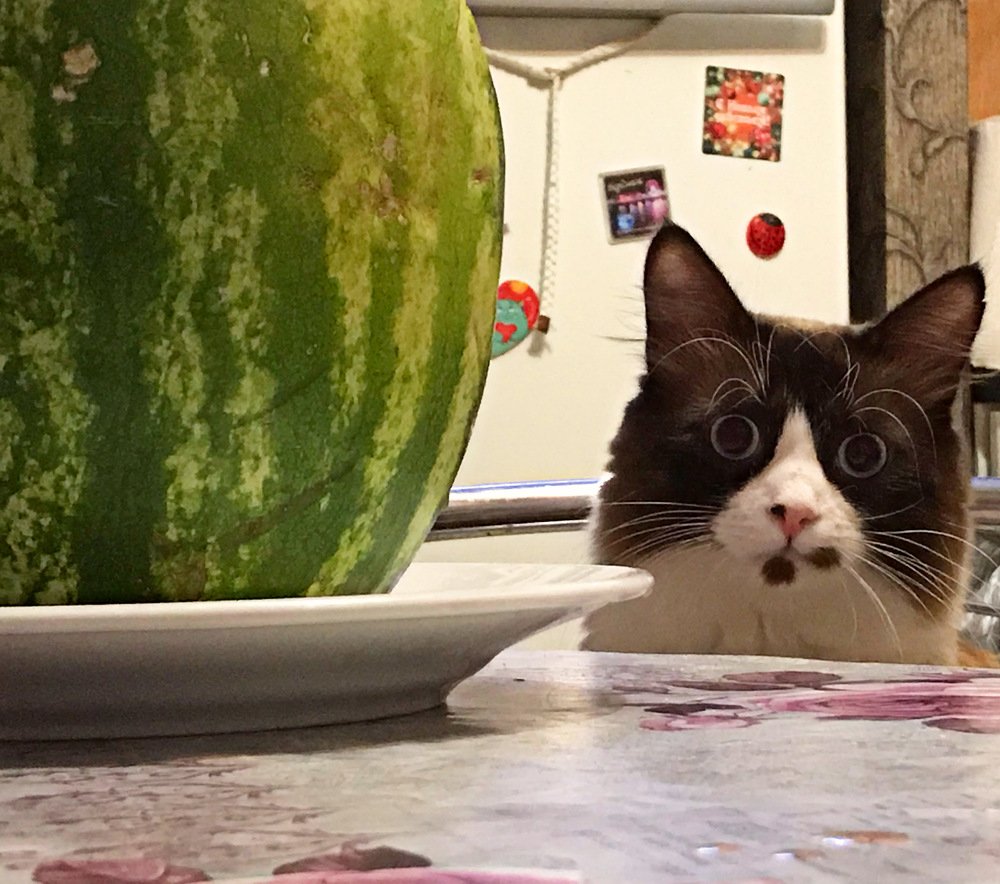 Photograph by Милана Сёмочкина