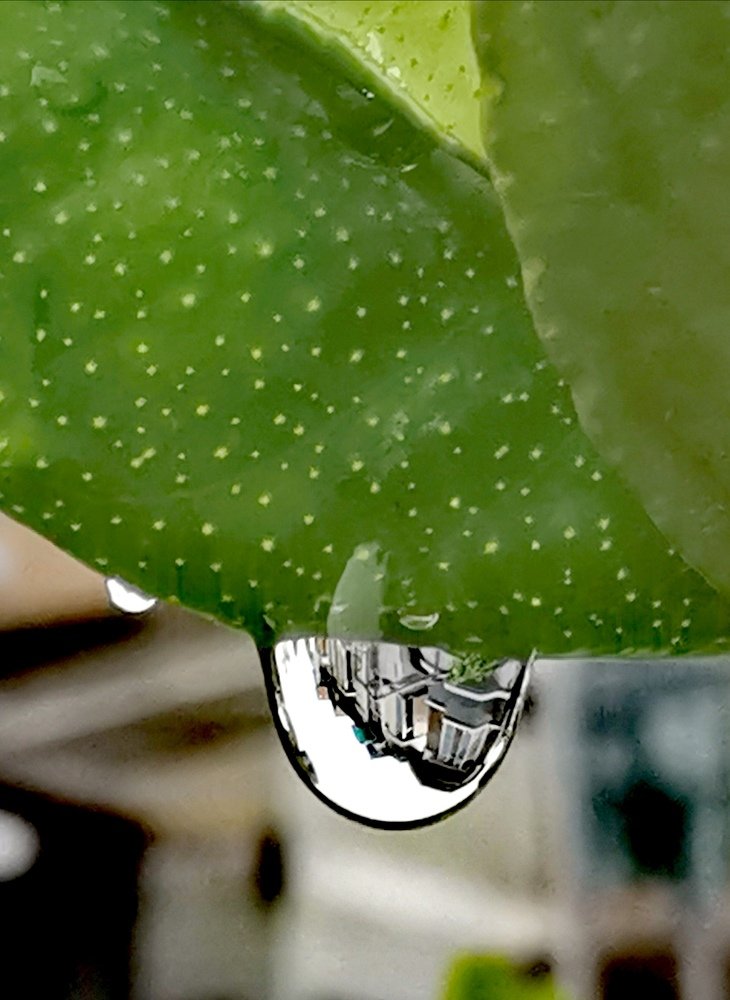 Photograph by Chunhou Poon