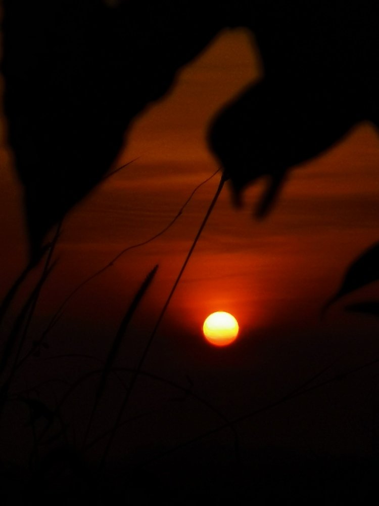 Photograph by Chunhou Poon