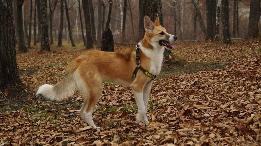 Photograph by Иван Кирилков