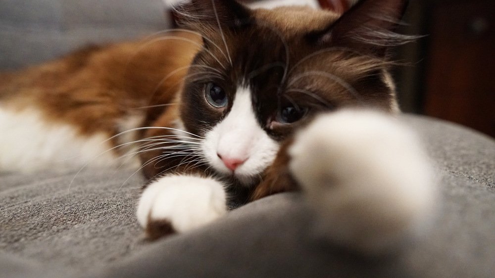 Photograph by Милана Сёмочкина