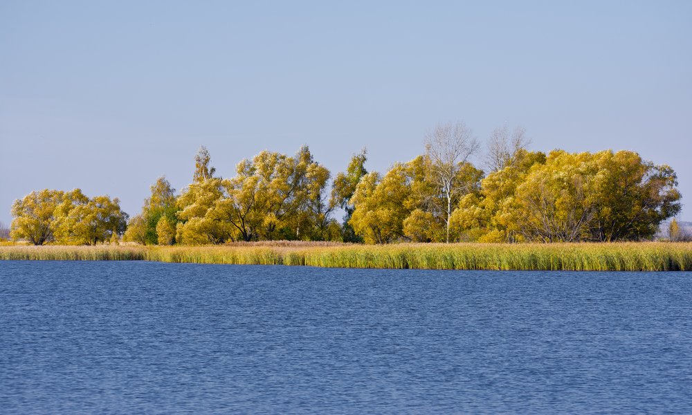 Photograph by Дмитрий Жижин
